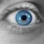 lenou33