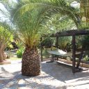 v2-crete-IMG_5293-27