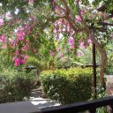 v2-crete-IMG_5290-26