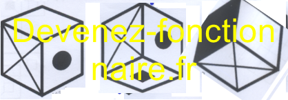 Q48   Copie (Copier)