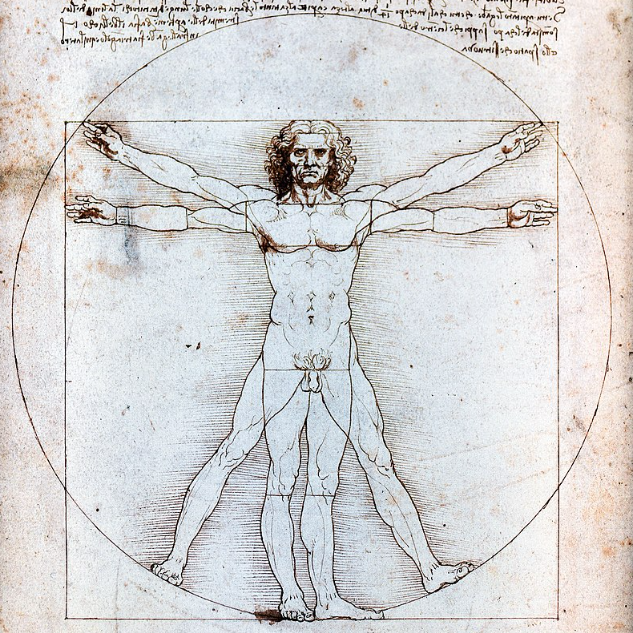 Q18 homme vitruve 1490