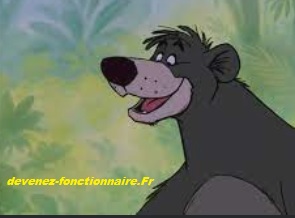 QB16 concours douanes OPCO 2022