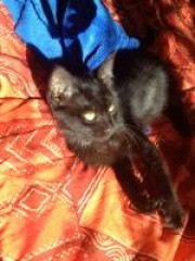 Portrait de chamoudubidou