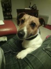 Portrait de lauroots