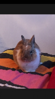 Portrait de Titou41100