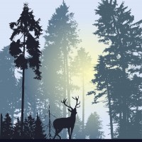 Portrait de Karibou007