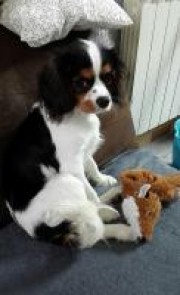 Portrait de Meganeprx