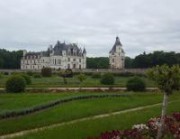 Portrait de harpiehuppée