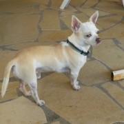 Portrait de samanta oups