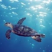 Portrait de carofan16