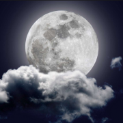 MoonWight