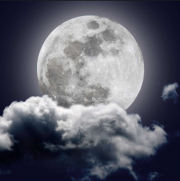 Portrait de MoonWight