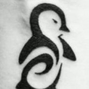 Portrait de pingouin