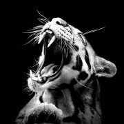 Portrait de Marine17