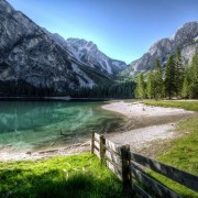 Portrait de gazon727