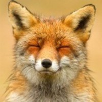 Portrait de Hyllans