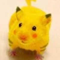 Portrait de erratum83