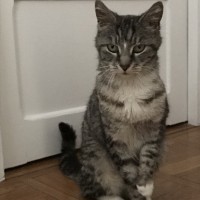 Portrait de Hodor2167