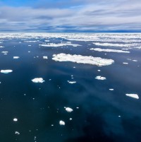 Portrait de fred..56