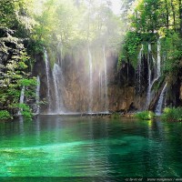 Portrait de ambrel82