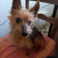 Portrait de Tobby123