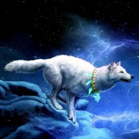 Portrait de Nick Sigfrit