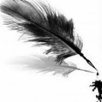 Portrait de PlumesNC