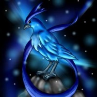 Portrait de ReineBodash