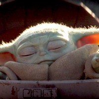 Portrait de Johnny Happyday