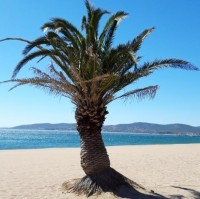 Portrait de Kylian24