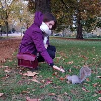 Portrait de locureuil