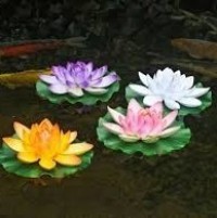 Portrait de Anouchka