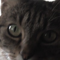 Portrait de Diana21000