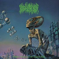 Portrait de giorgiboy