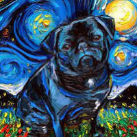 Portrait de Triglav020