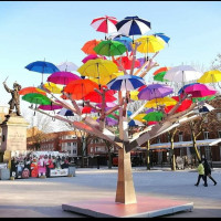 Portrait de caro5907