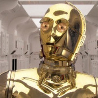 Portrait de Wout_2262